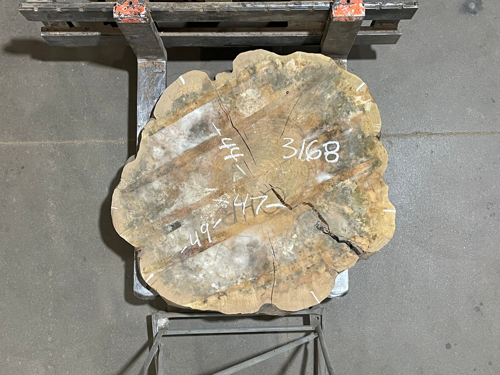 Maple Crosscut (3168)  49” x 44” W x 4” T