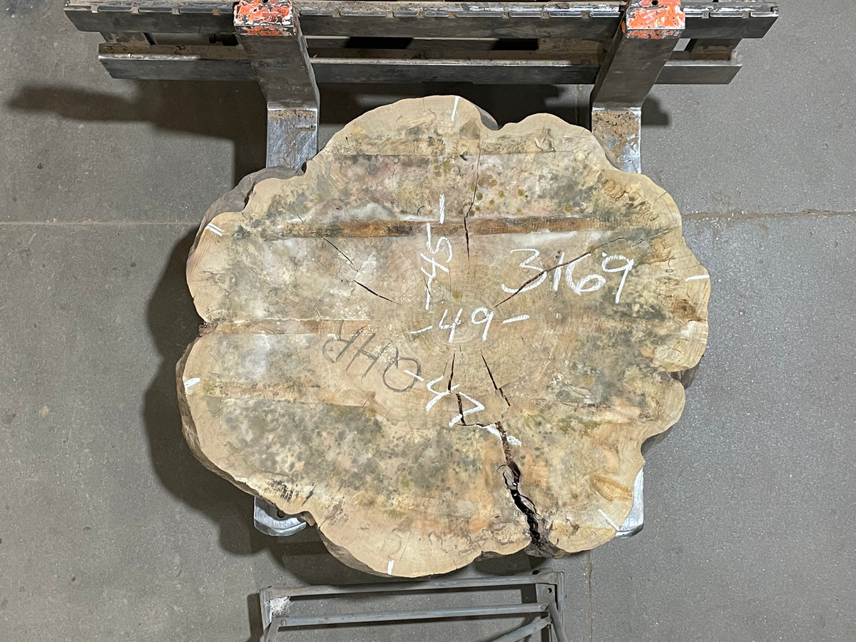 Maple Crosscut (3169)  49” x 45” W x 4” T