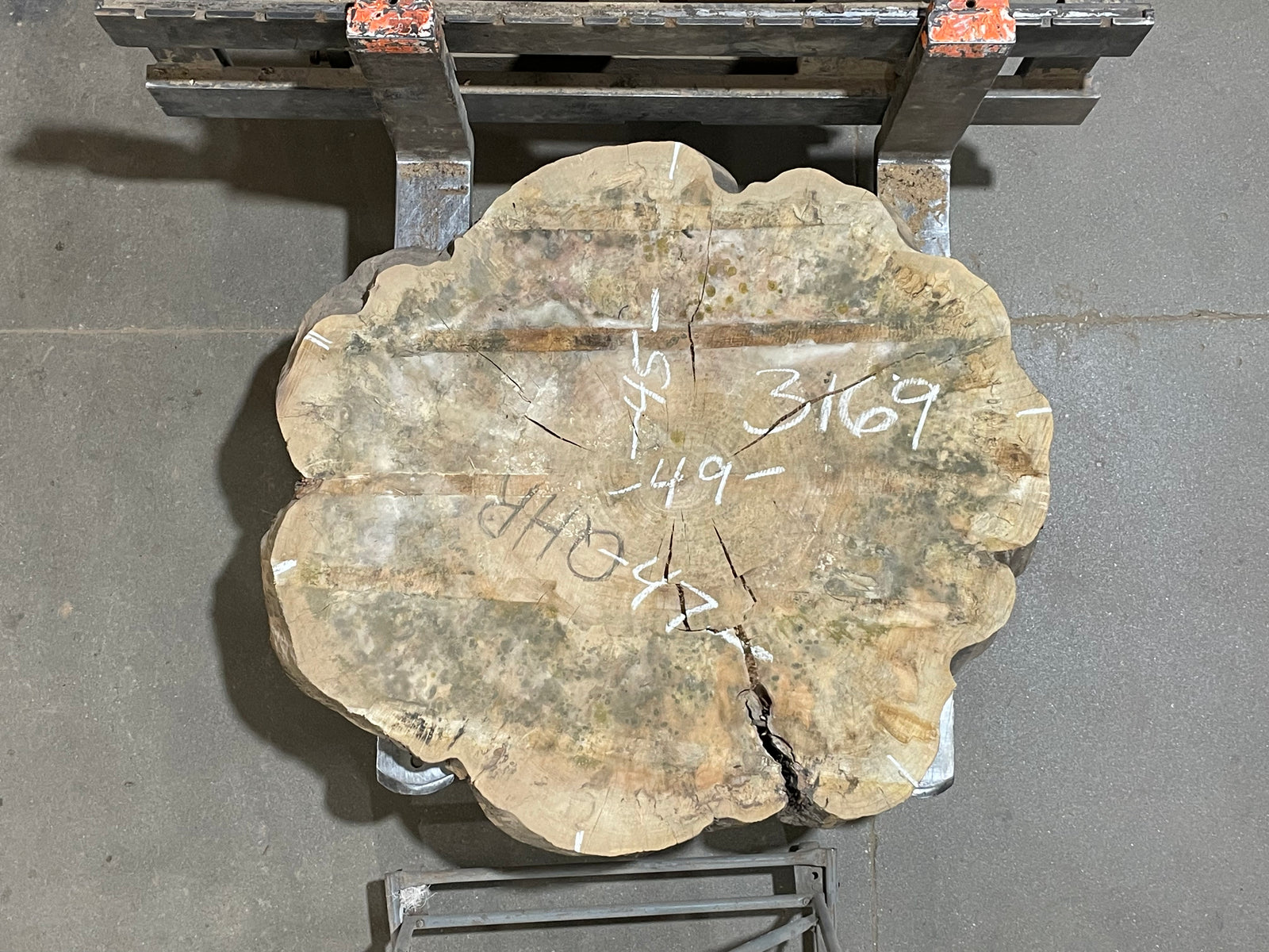 Maple Crosscut (3169)  49” x 45” W x 4” T