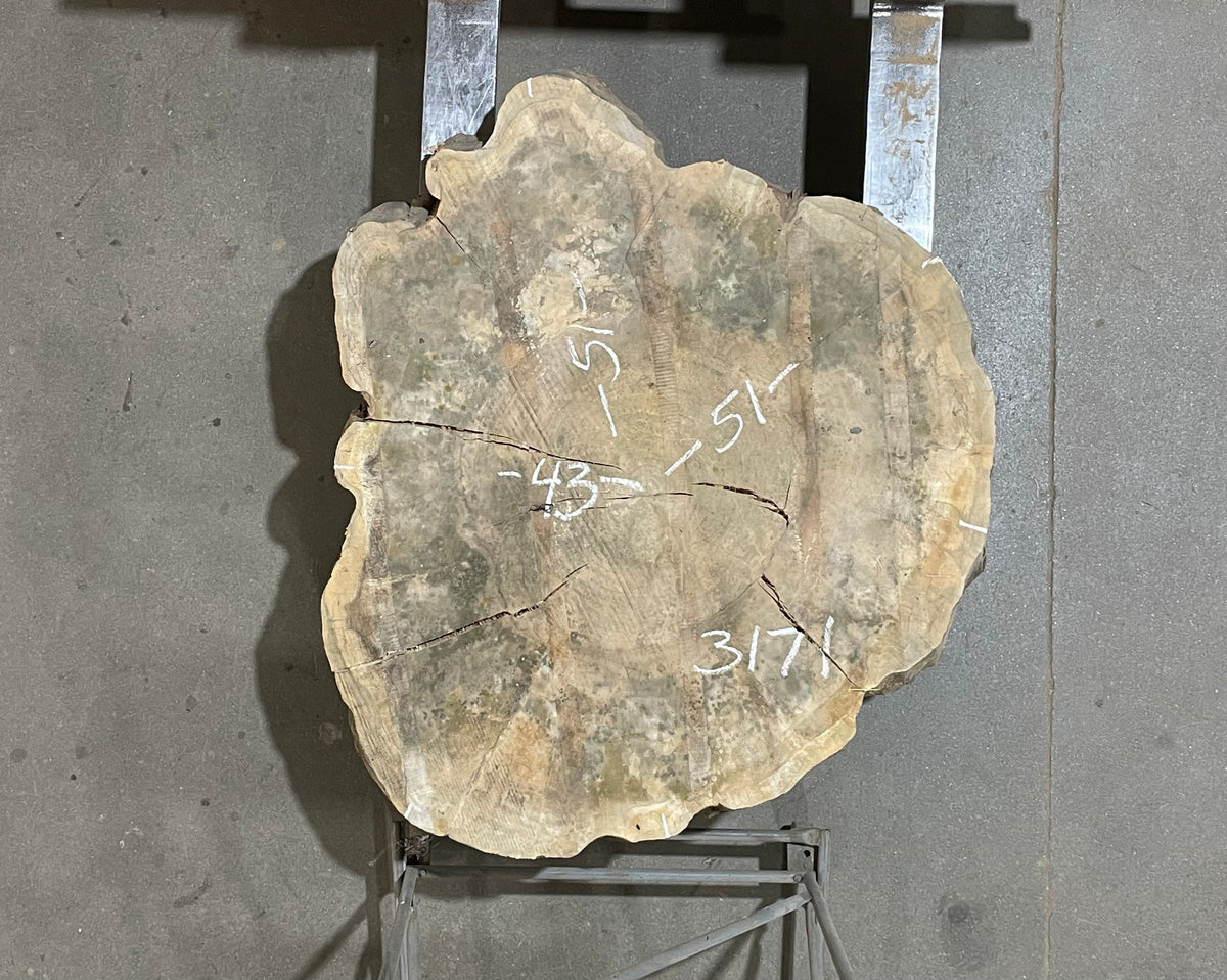 Maple Crosscut (3171)  51” x 43” W x 4” T