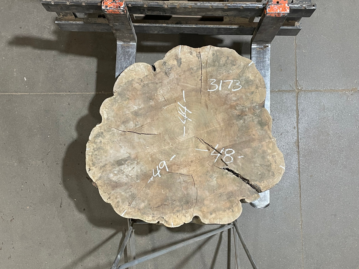 Maple Crosscut (3173)  49” x 44” W x 4” T