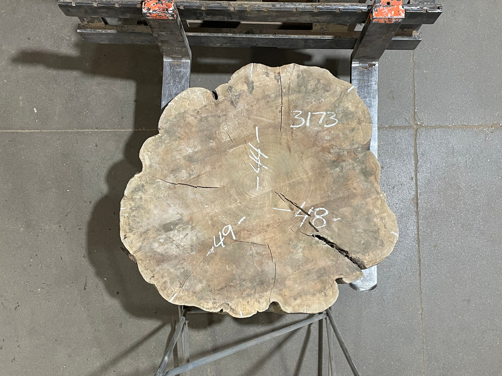 Maple Crosscut (3173)  49” x 44” W x 4” T