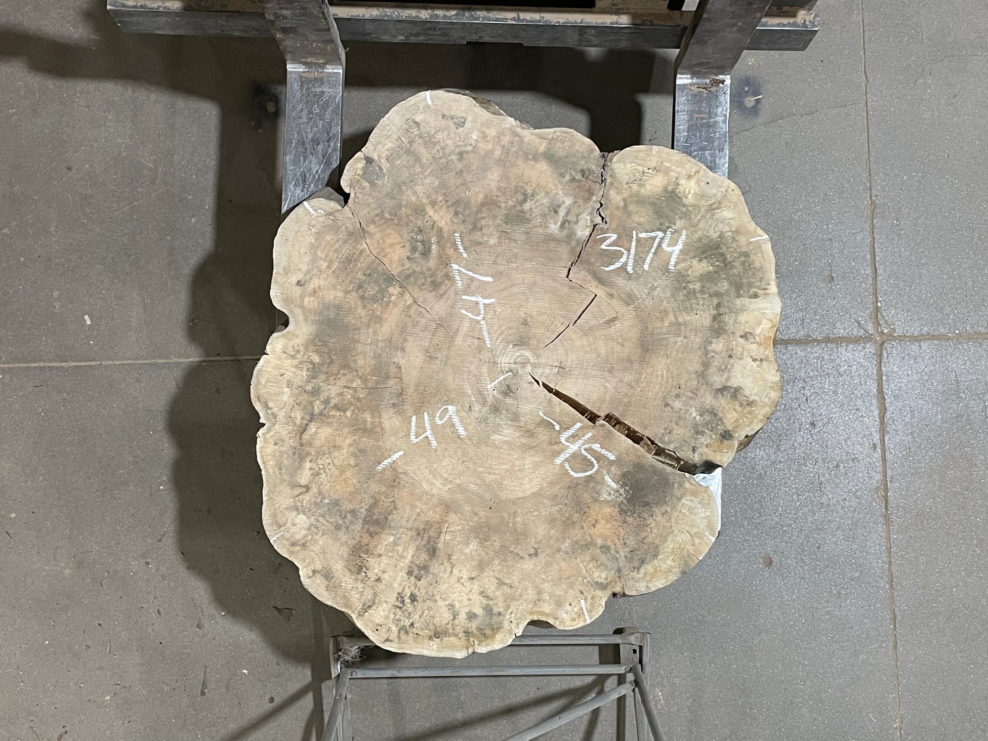 Maple Crosscut (3174)  49” x 45” W x 4” T