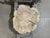 Maple Crosscut (3174)  49” x 45” W x 4” T