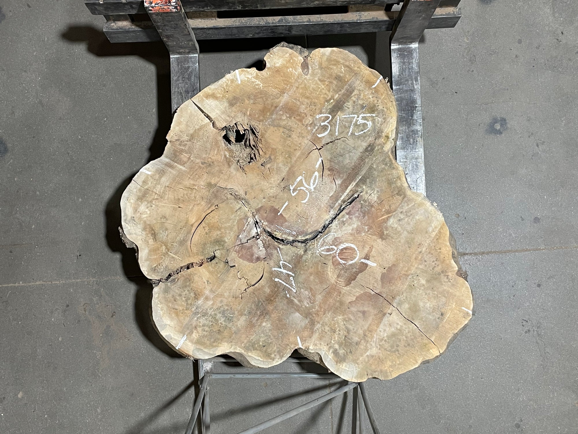 Maple Crosscut (3175)  60” x 47” W x 4” T