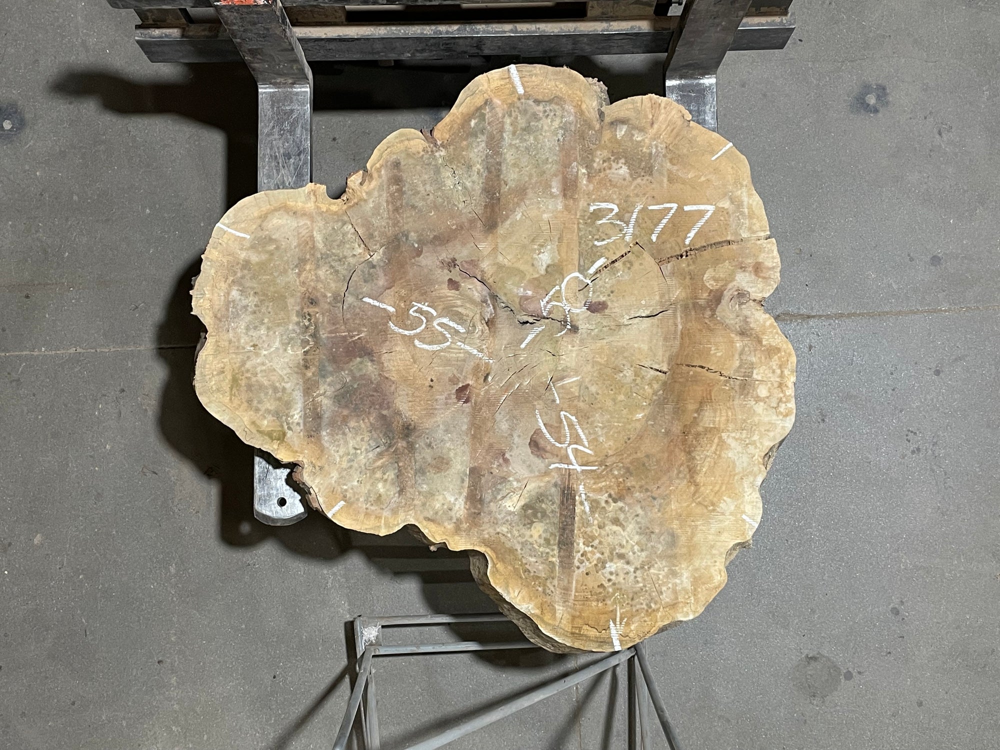 Maple Crosscut (3177)  55” x 50” W x 4” T