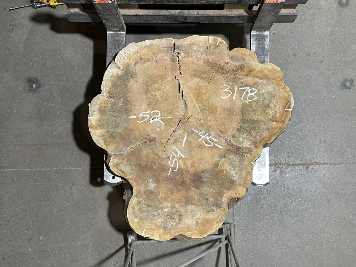 Maple Crosscut (3178)  54” x 45” W x 4” T