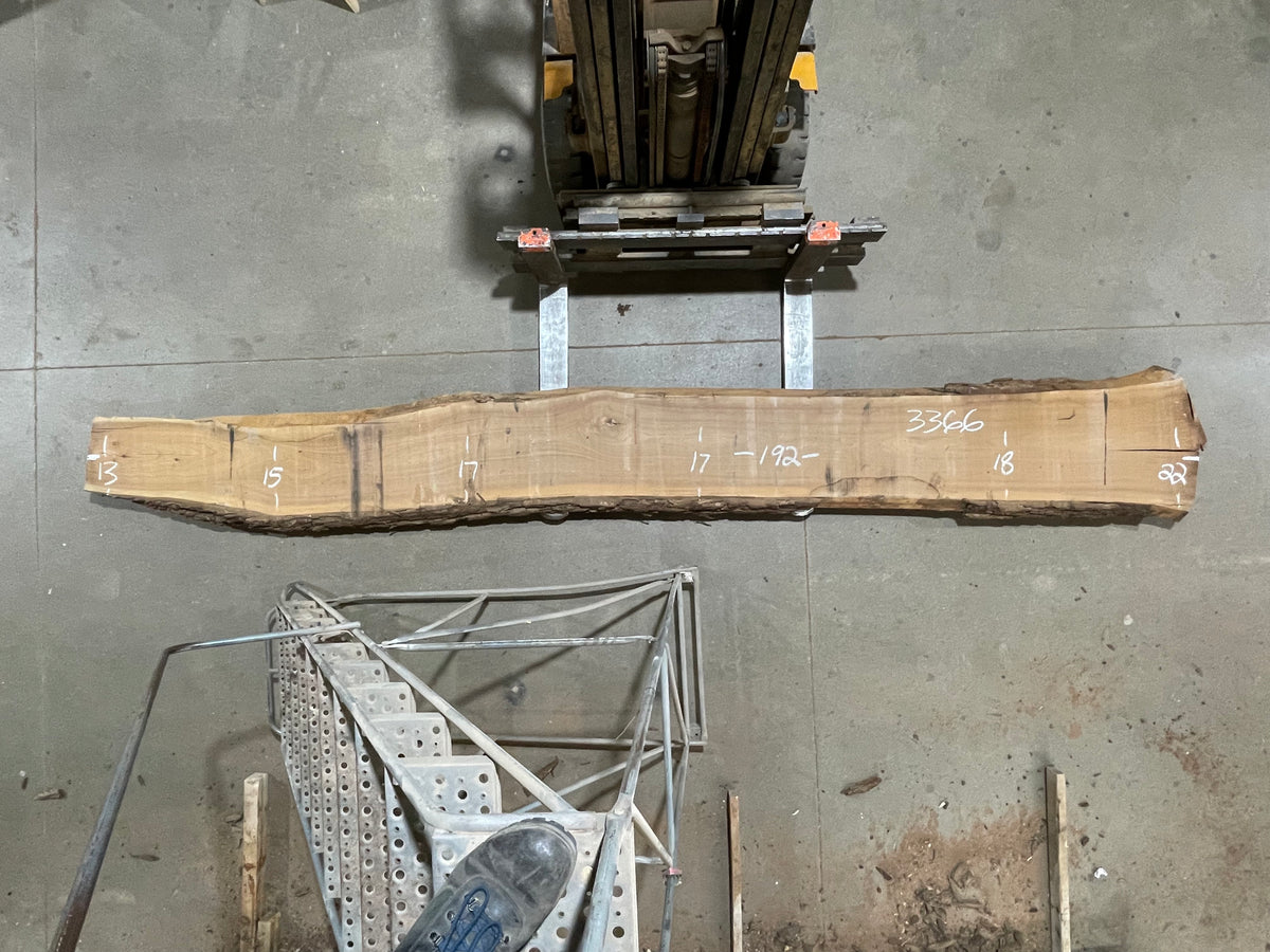 BLACK WALNUT (3366)  192” L x 13-22” W x 3” T