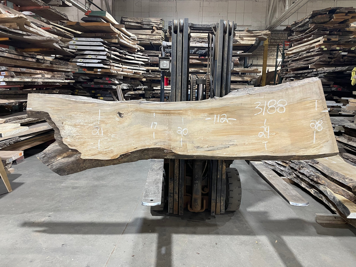 Maple - (3188) 112&quot; L x 17-28&quot; W x 2.5 T