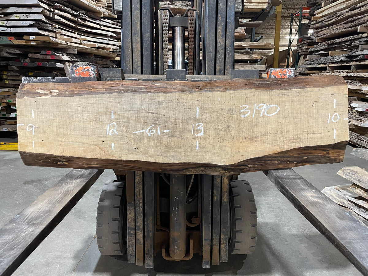 Maple - (3190) 61" L x 9-13" W x 2 T