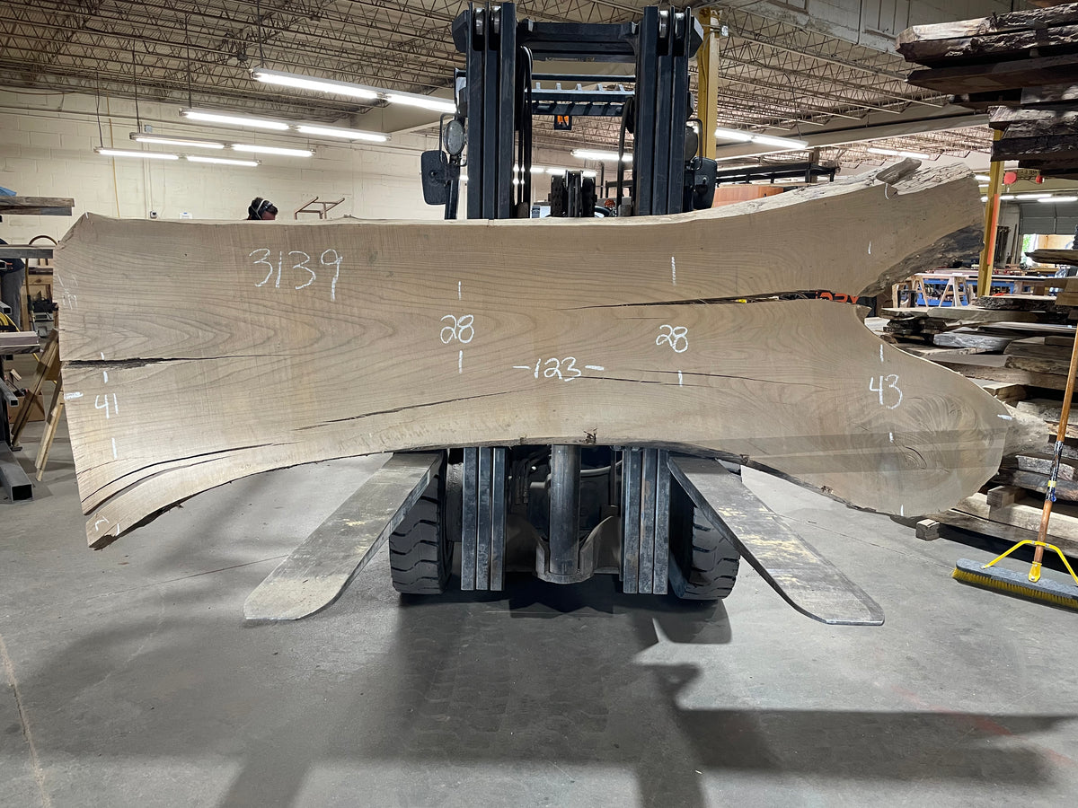 Siberian Elm (3139)  123” L x 28-43” W x 3” T