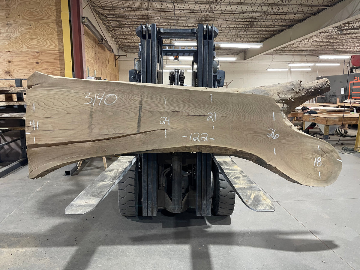 Siberian Elm (3140)  122” L x 18-41” W x 3” T