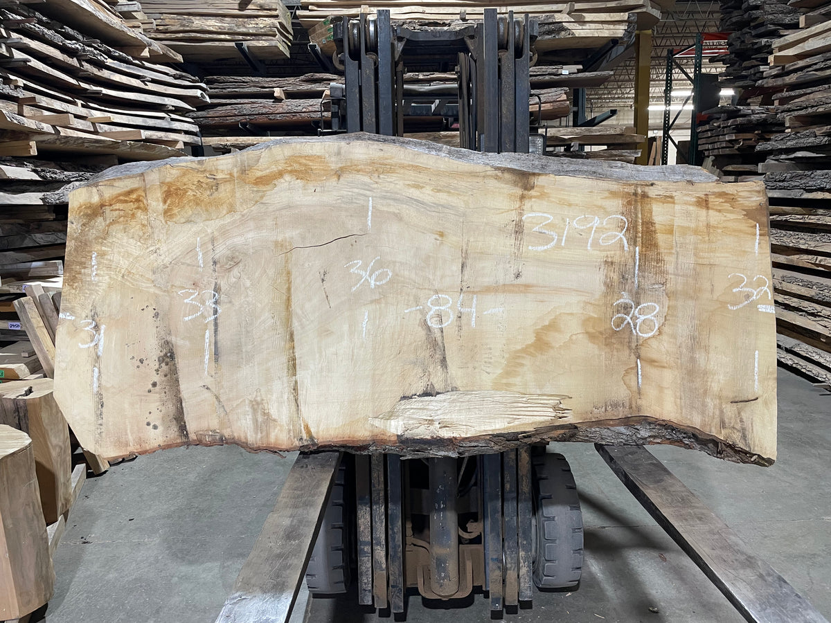 Maple - (3192) 84" L x 28-36" W x 2.5 T