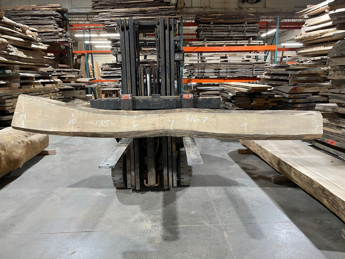 Maple (2167)  135” L x 6-14” W x 2.5” T