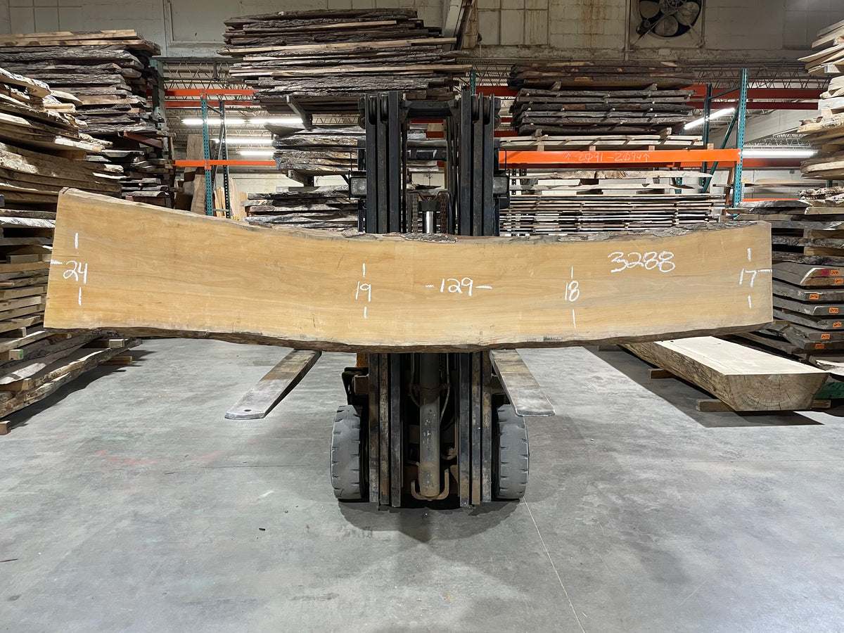 Sycamore (3288) 129” L x 17-24” W x 2.5” T