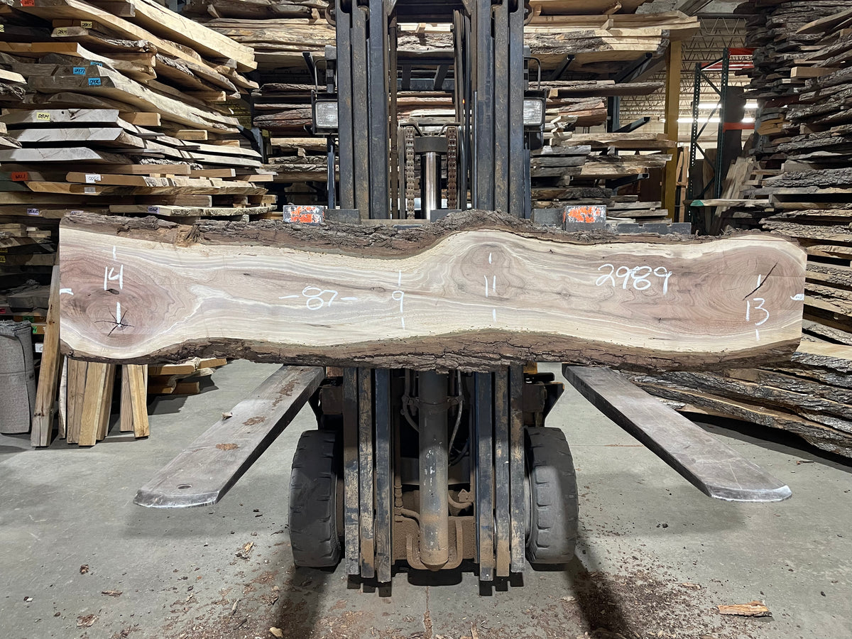 BLACK WALNUT (2989) 87” L x 9-14” W x 2” T