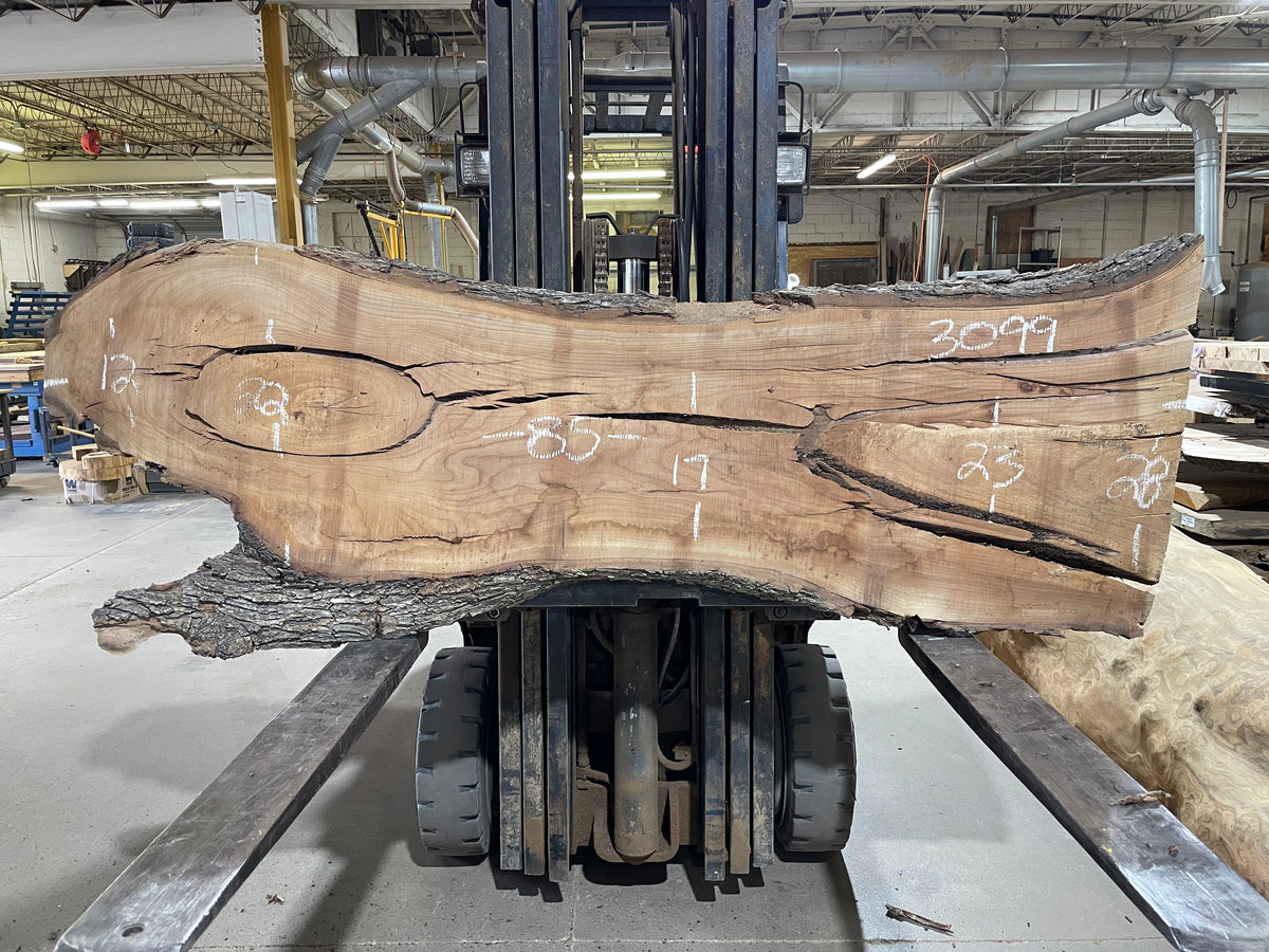 Red Elm (3099) 85” L x 12-28” W x 2.25” T