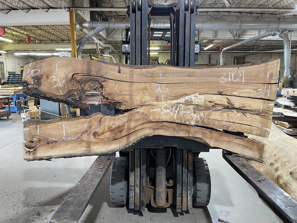 Red Elm (3101) 84” L x 23-34” W x 2.5” T