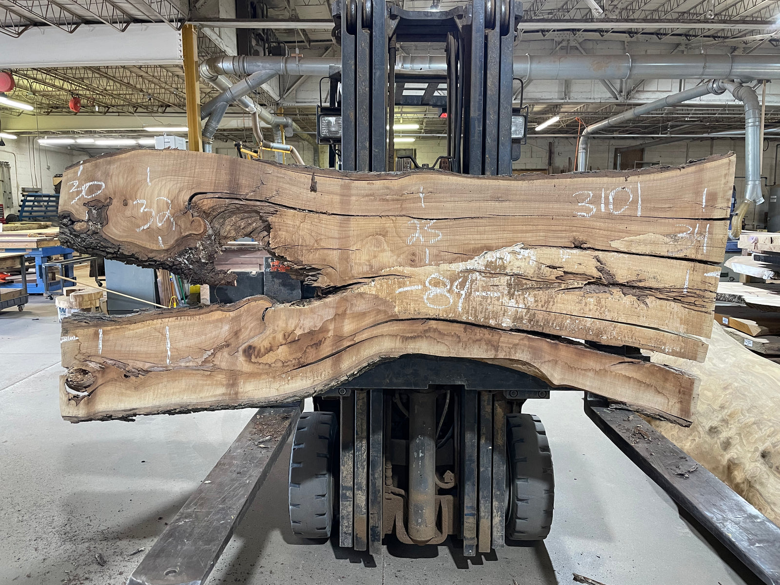 Red Elm (3101) 84” L x 23-34” W x 2.5” T