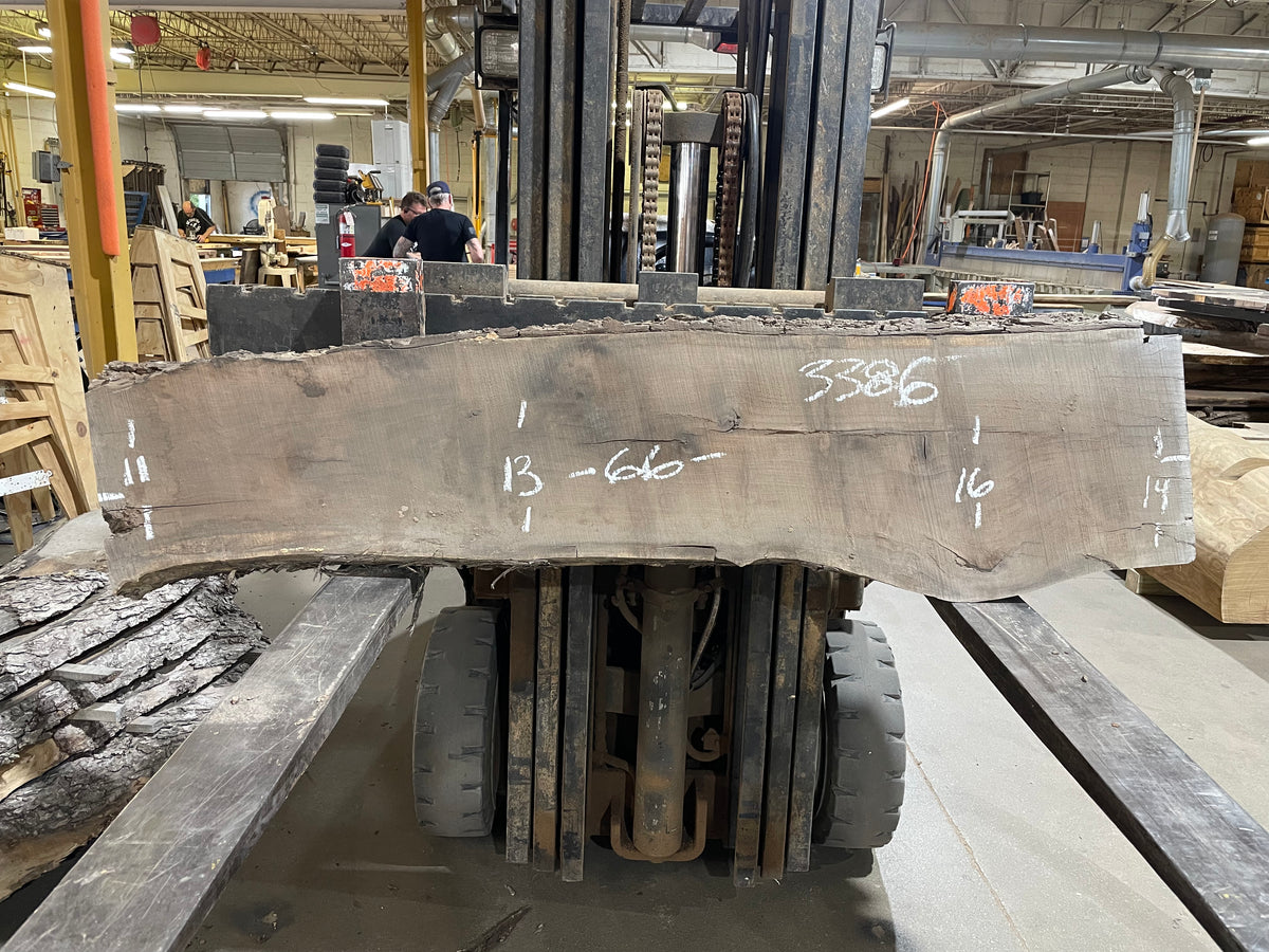 BLACK WALNUT (3386) 66” L x 11-16” W x 3” T