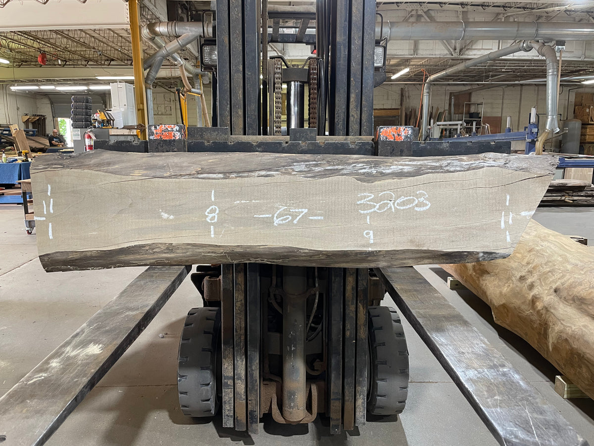 Maple - (3203) 67&quot; L x 8-11&quot; W x 2.5 T