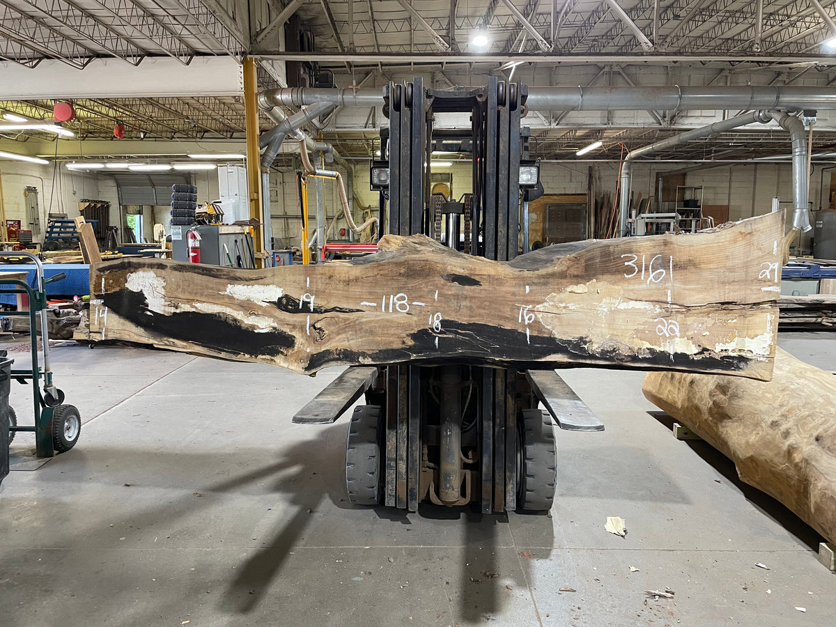 Rock Maple - (3161) 118&quot; L x 14-29&quot; W x 2.5&quot; T