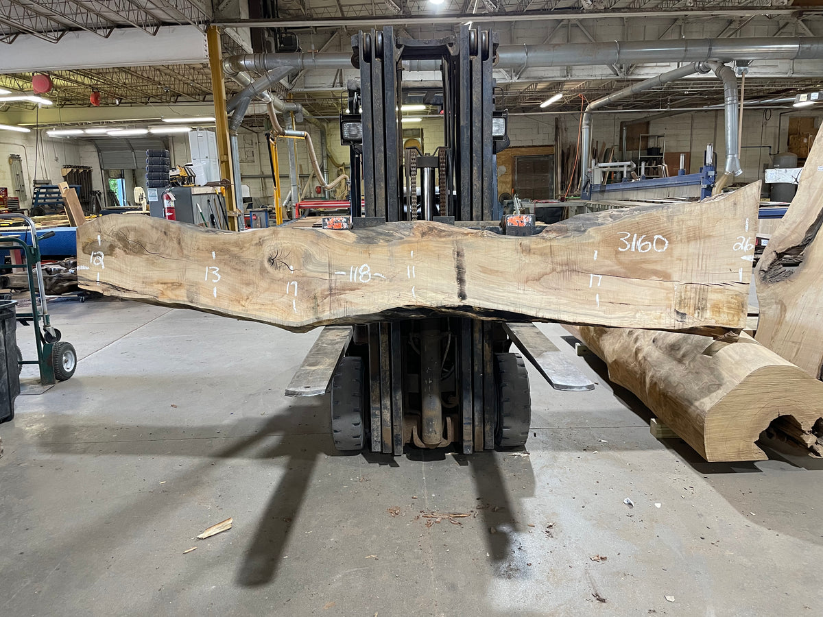 Rock Maple - (3160) 118&quot; L x 11-26&quot; W x 2.5&quot; T