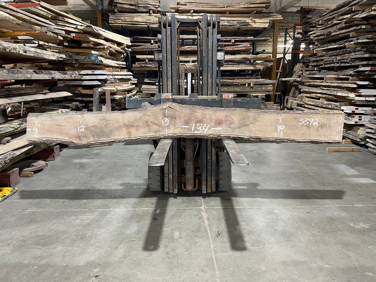Black Walnut (3392) 134” L x 9-13” W x 2"