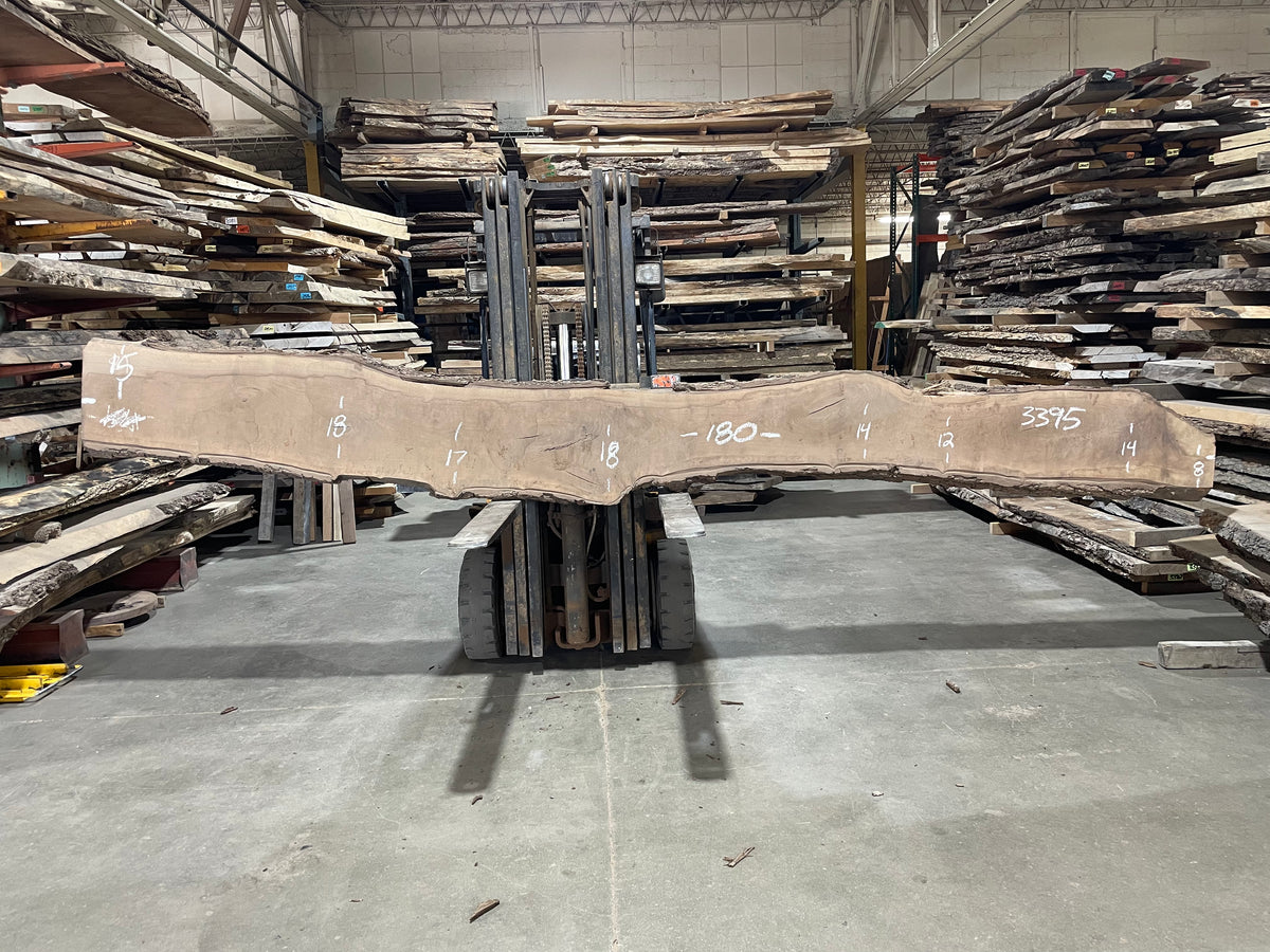 Black Walnut (3395) 180” L x 8-18” W x 2.25&quot;