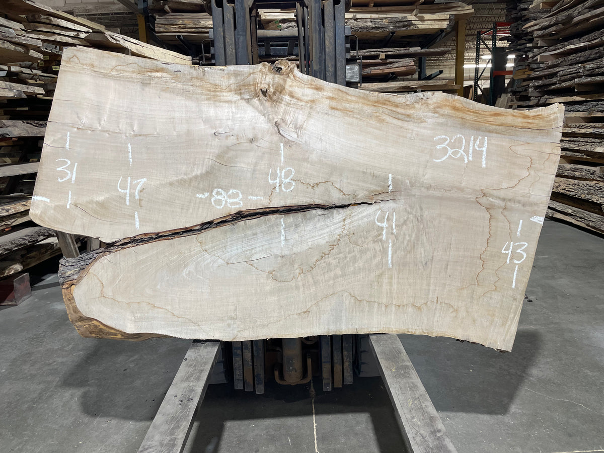 Maple - (3214) 86" L x 39-49" W x 3 T