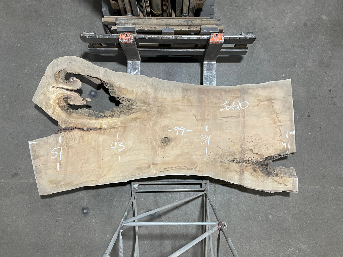 Maple - (3220) 99" L x 34-51" W x 2.75 T