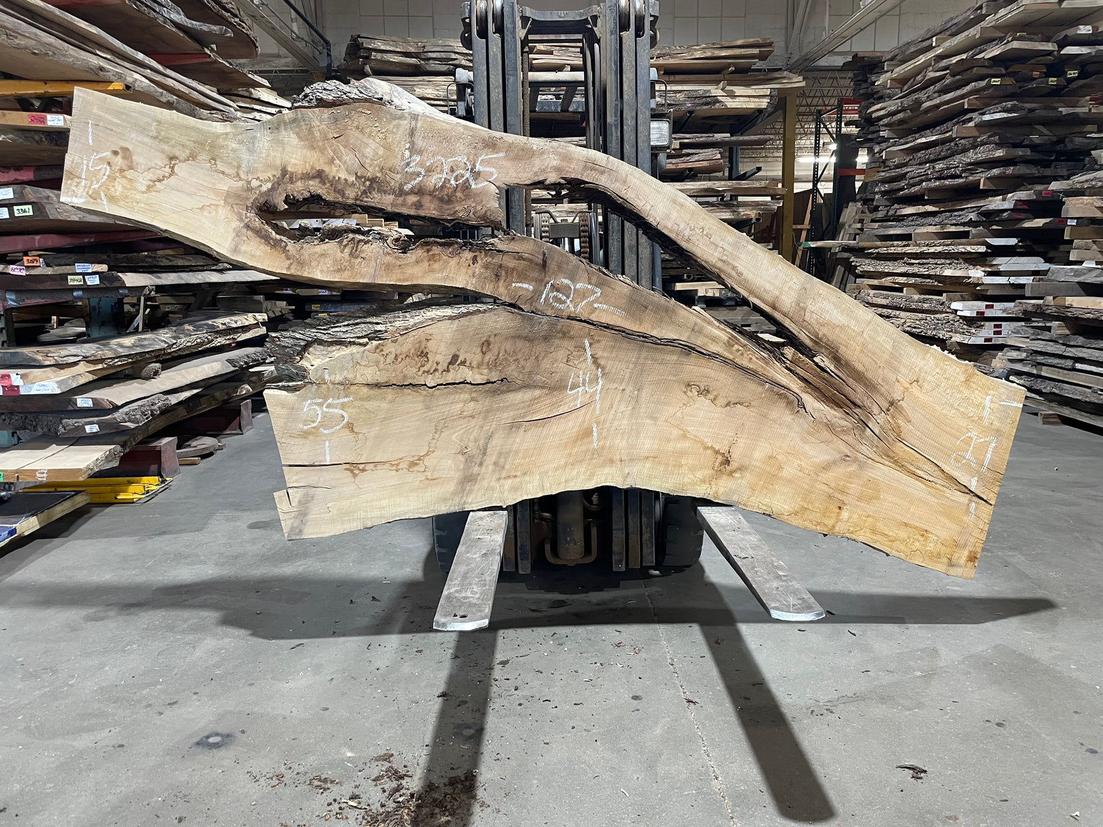 Maple - (3225) 127" L x 15-55" W x 3 T