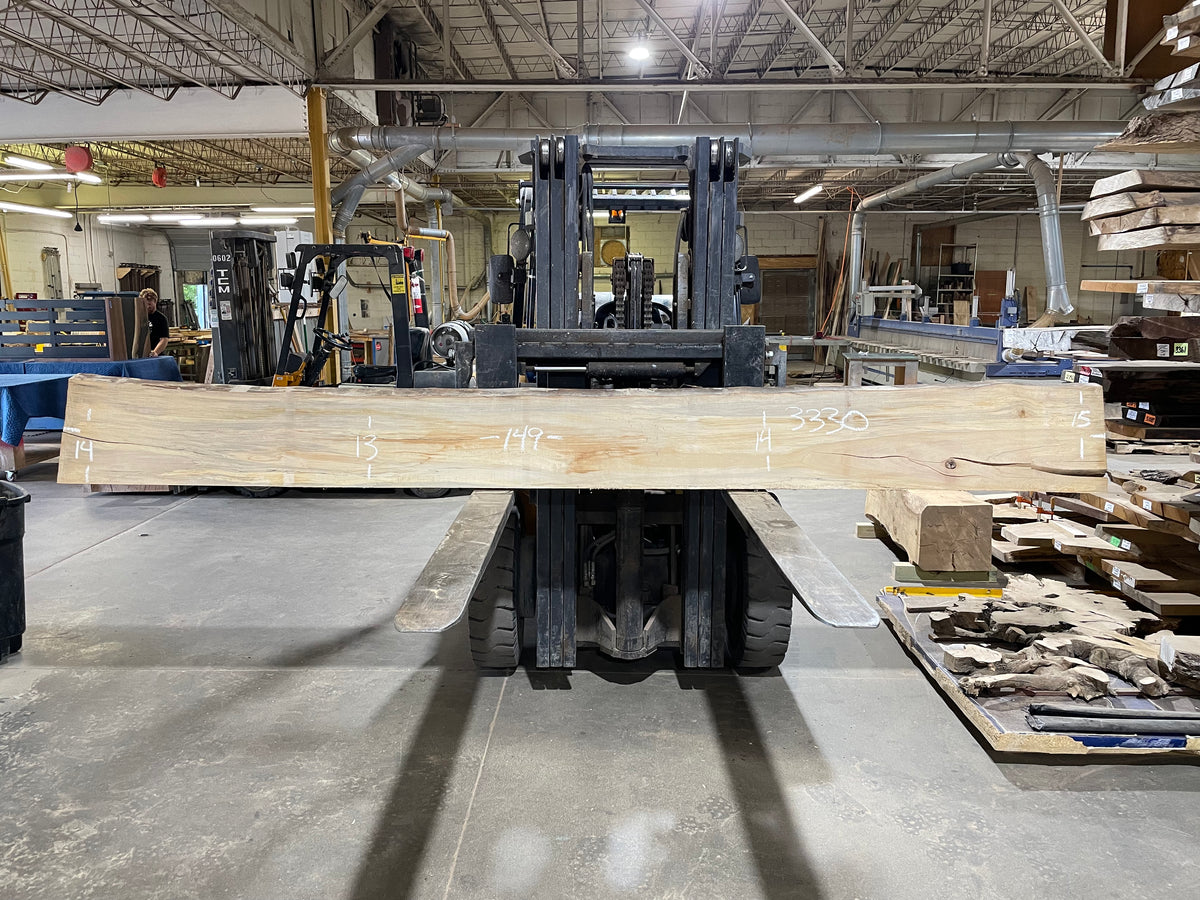 Sycamore (3330) 149” L x 13-15” W x 2.5” T