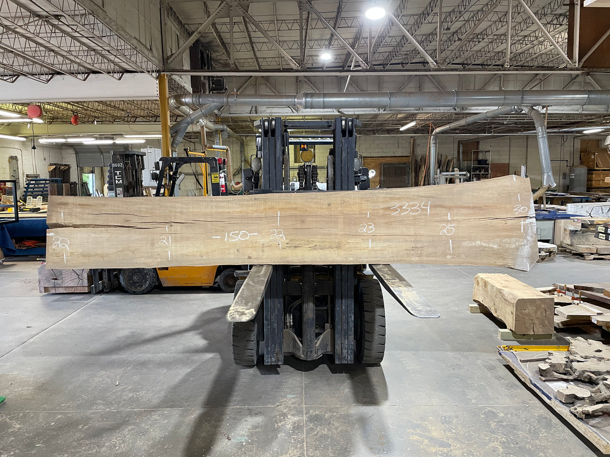 Sycamore (3334) 150” L x 21-30” W x 2.5” T