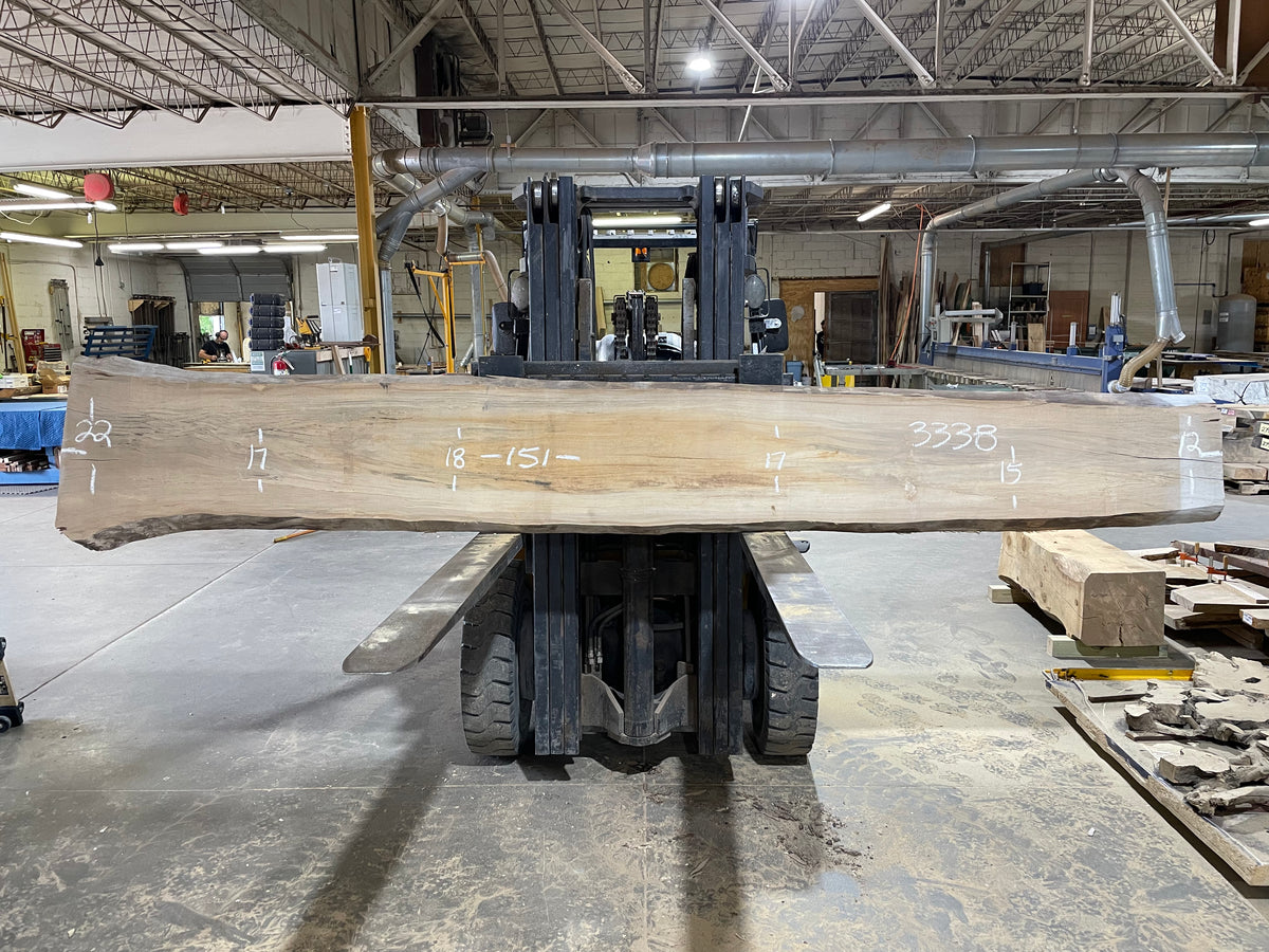 Sycamore (3338) 151” L x 12-22” W x 2.5” T