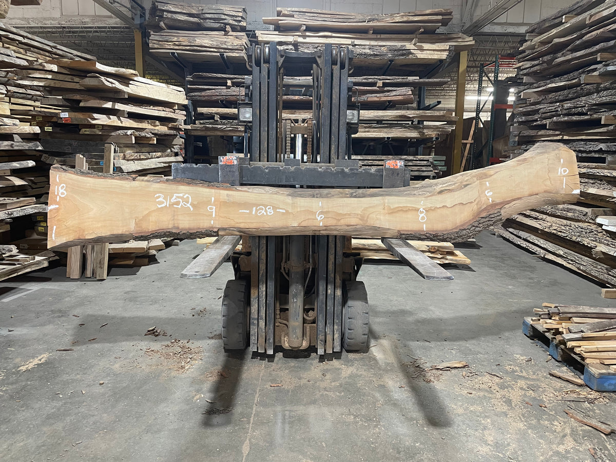 Rock Maple - (3152) 128" L x 6-18" W x 2.25" T