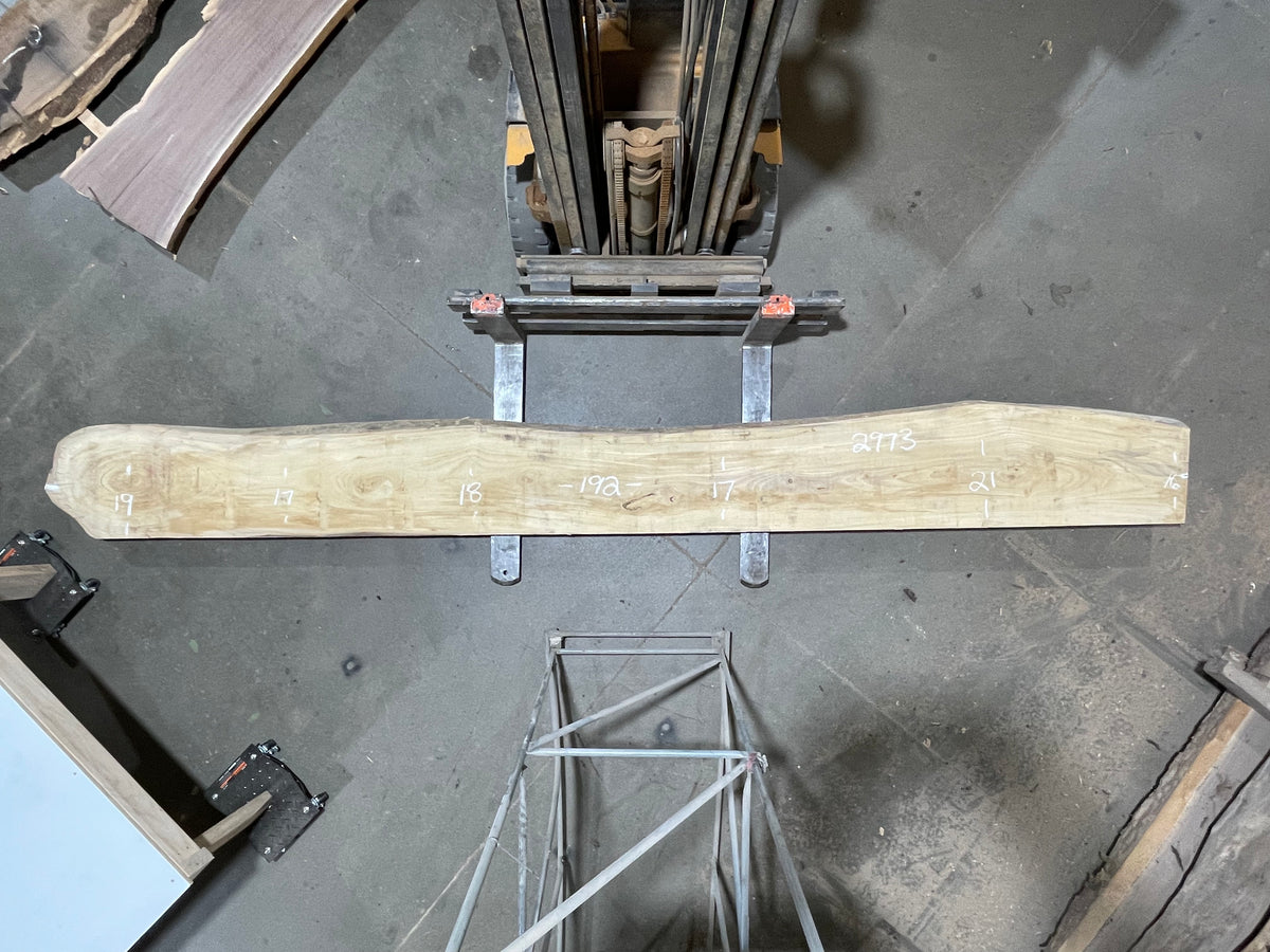 American Elm - (2973)  192” L x 16-21” W x 3” T