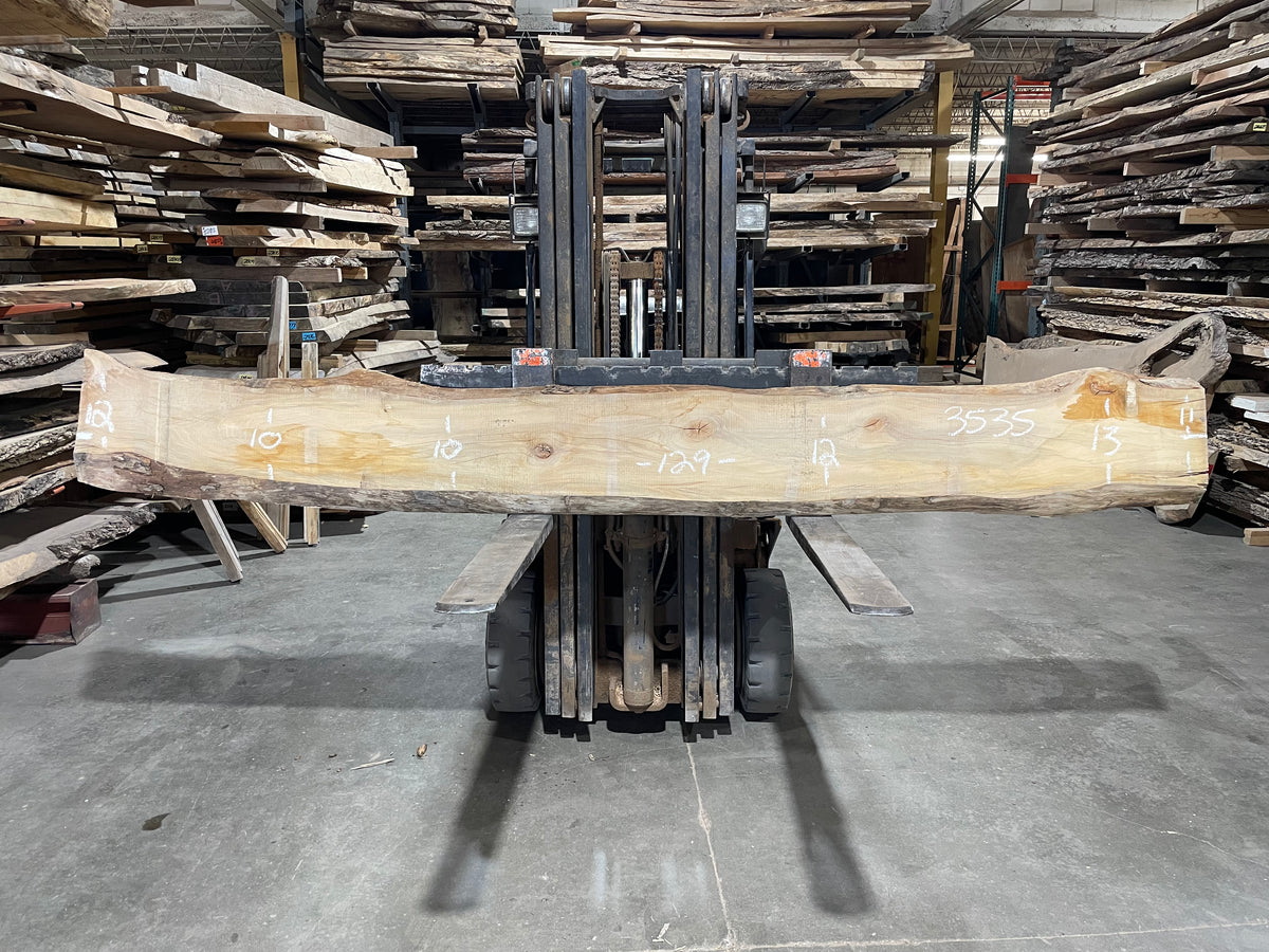 Sycamore (3535) 129” L x 10-13” W x 2.5” T