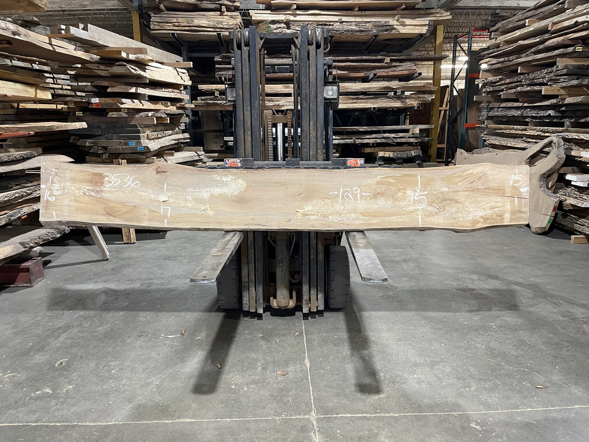 Sycamore (3536) 129” L x 15-17” W x 2.5” T