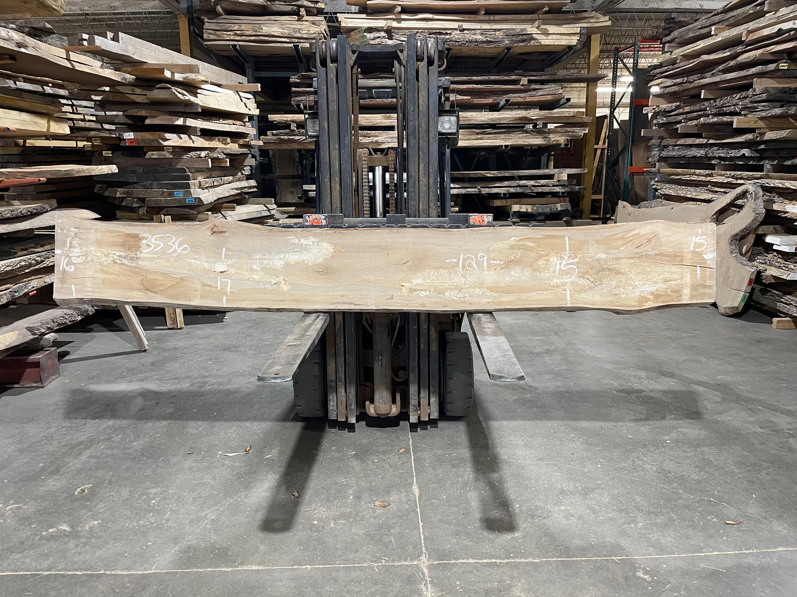 Sycamore (3536) 129” L x 15-17” W x 2.5” T