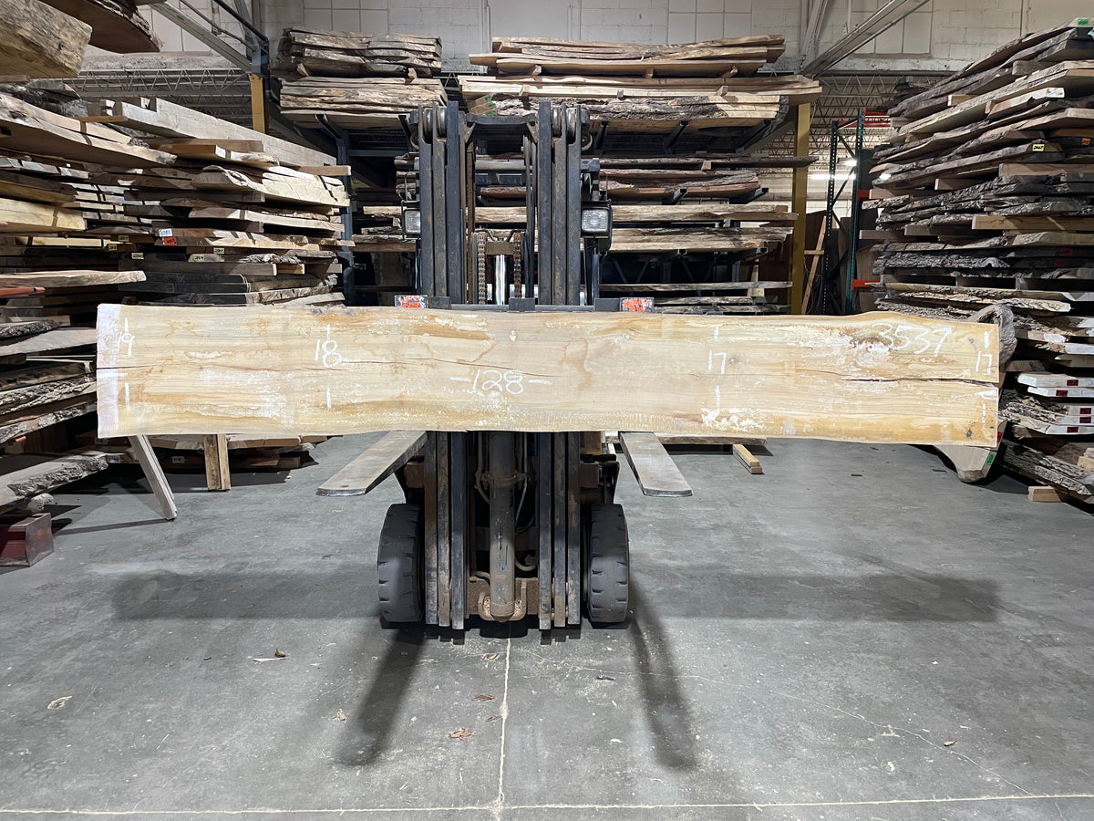 Sycamore (3537) 128” L x 17-19” W x 2.5” T