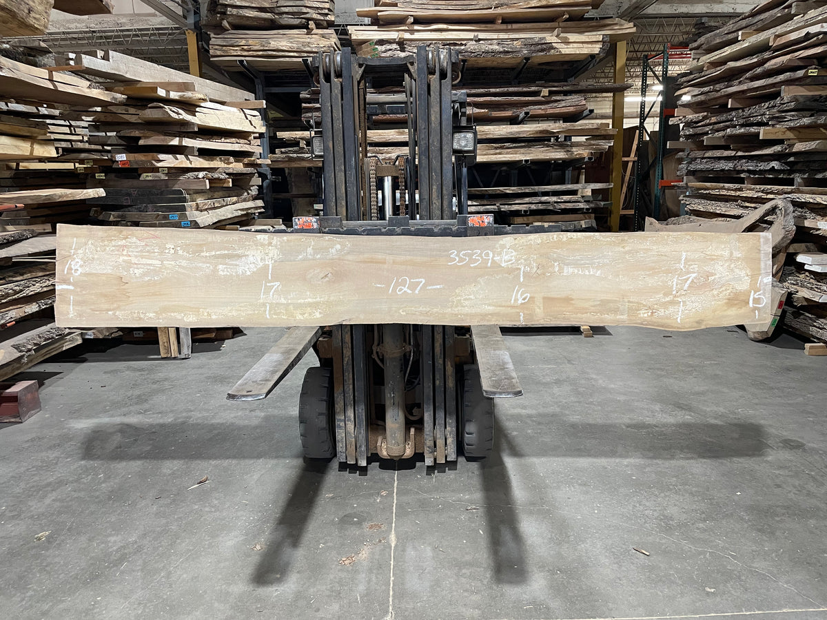 Sycamore (3539) 127” L x 14-17” W x 2.5” T