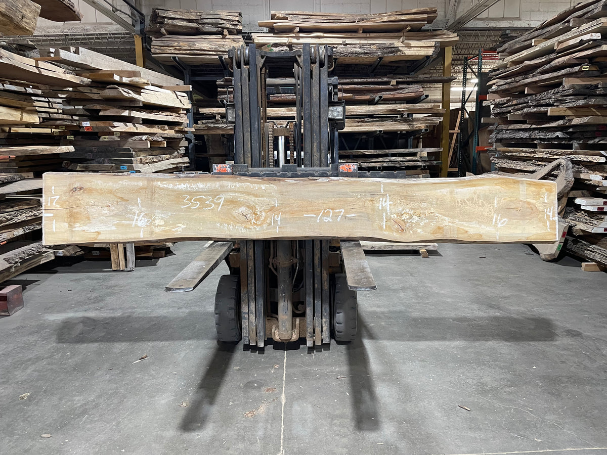 Sycamore (3539) 127” L x 14-17” W x 2.5” T