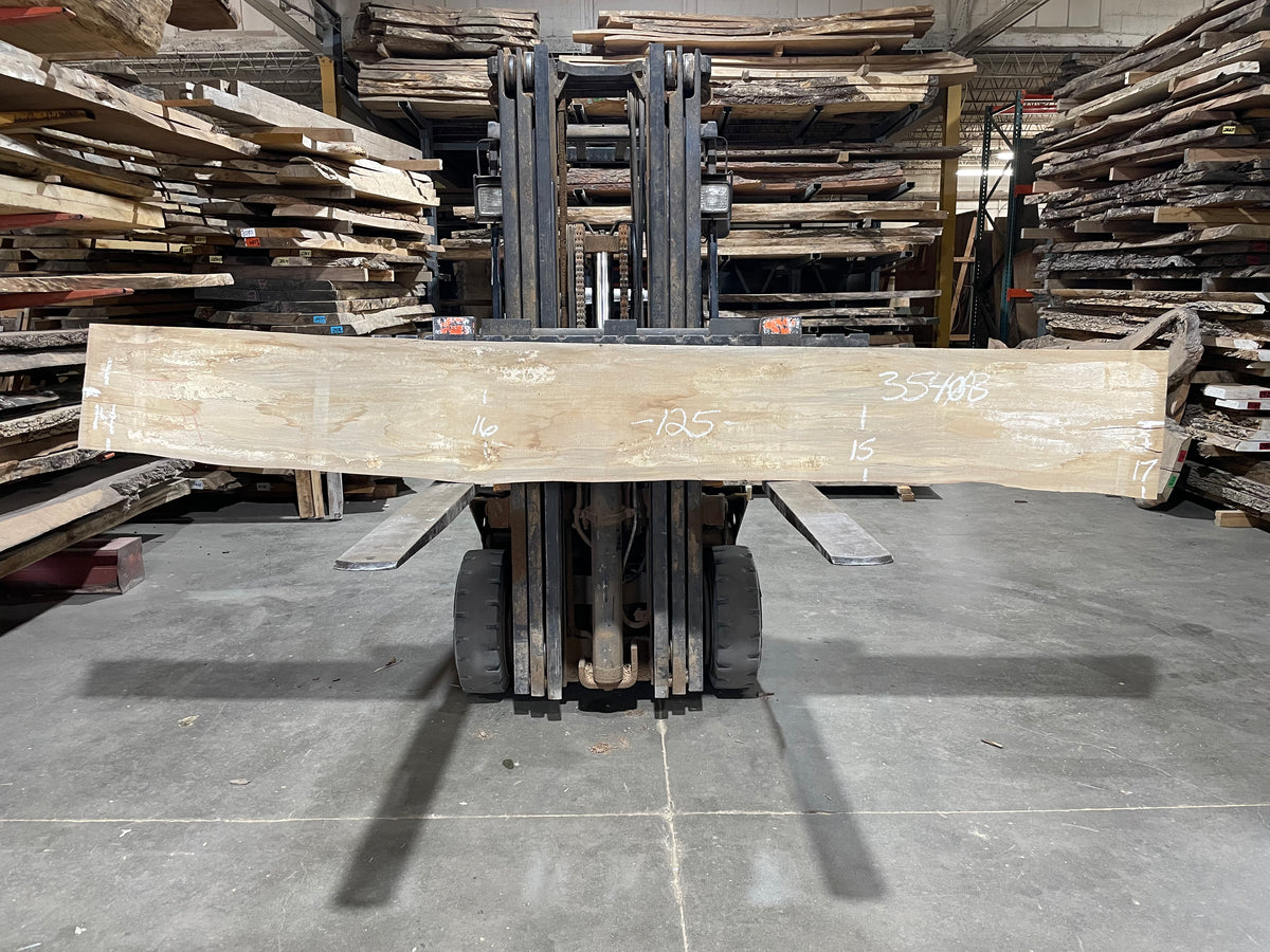 Sycamore (3540) 124” L x 11-15” W x 2.5” T