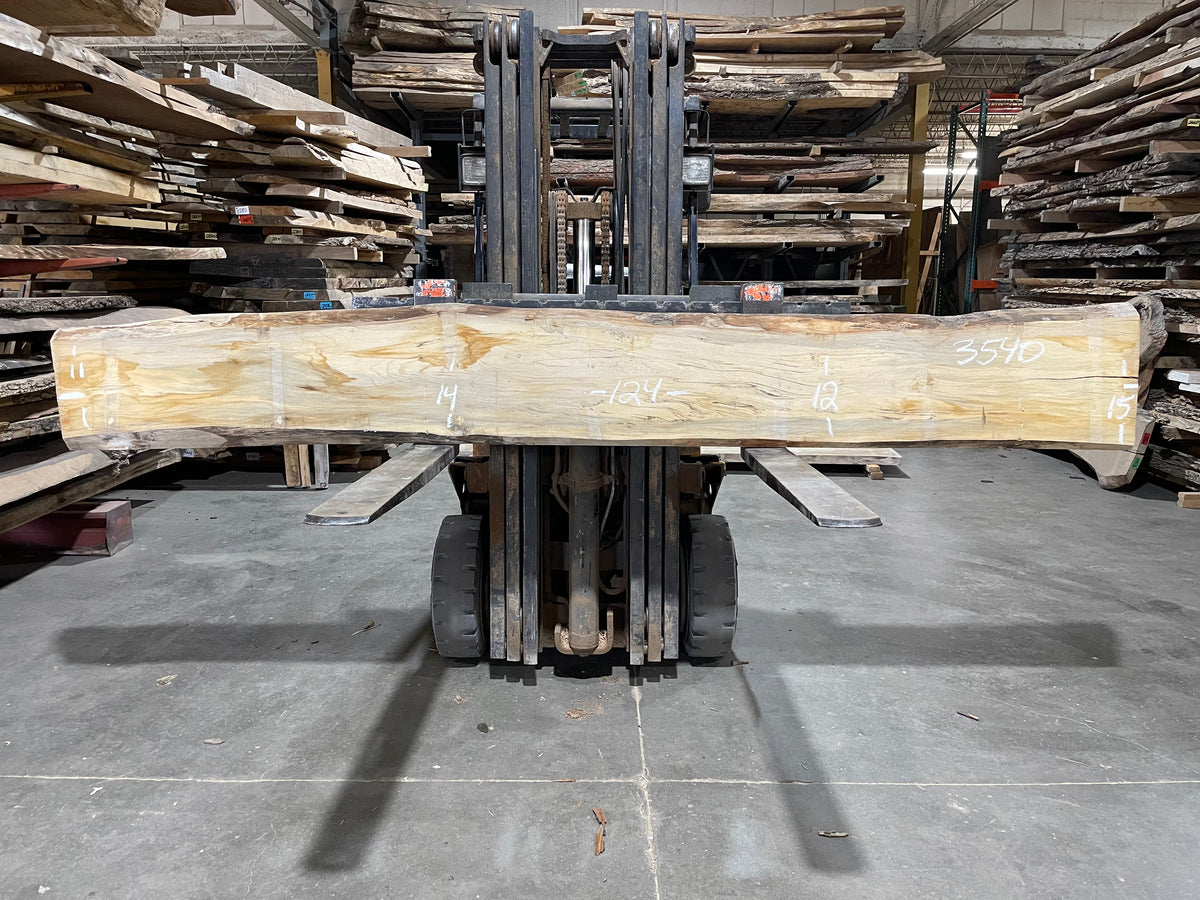 Sycamore (3540) 124” L x 11-15” W x 2.5” T
