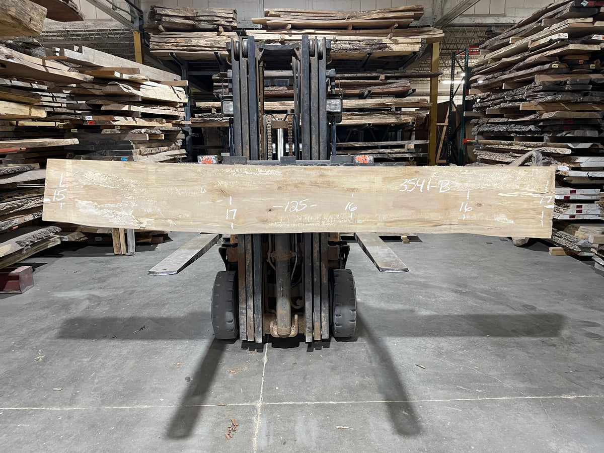 Sycamore (3541) 125” L x 14-17” W x 2.5” T