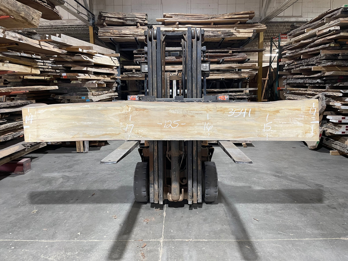 Sycamore (3541) 125” L x 14-17” W x 2.5” T