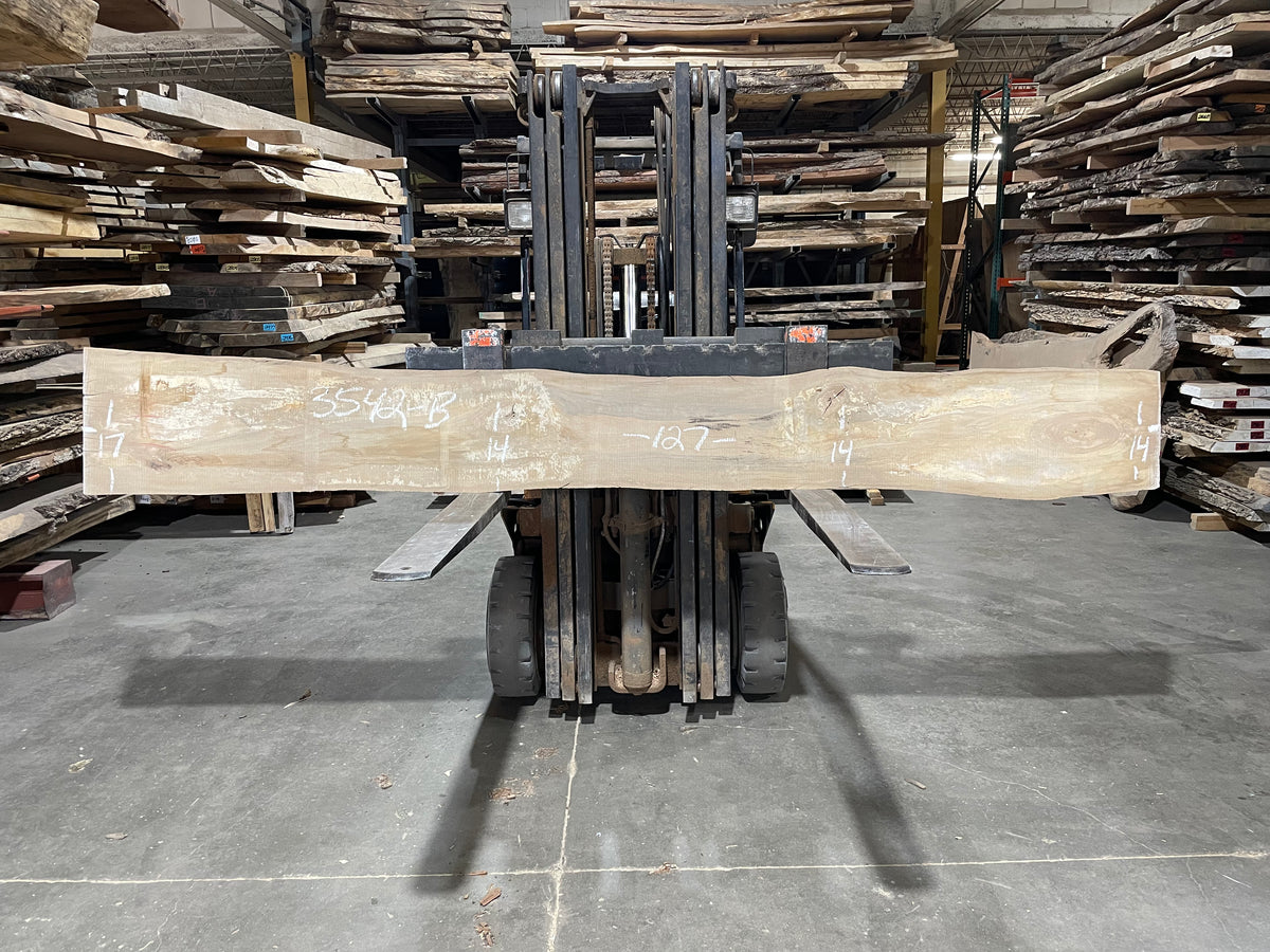 Sycamore (3542) 126” L x 9-14” W x 2.5” T