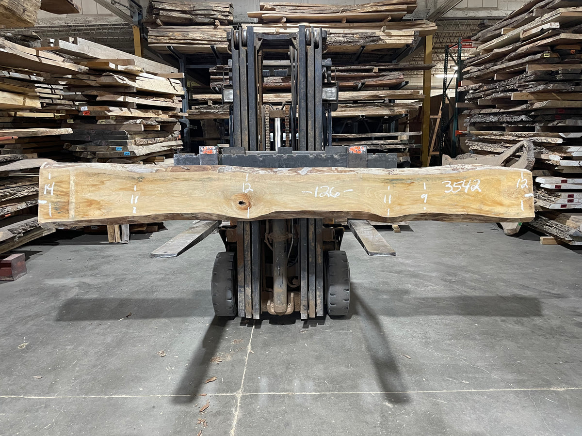 Sycamore (3542) 126” L x 9-14” W x 2.5” T