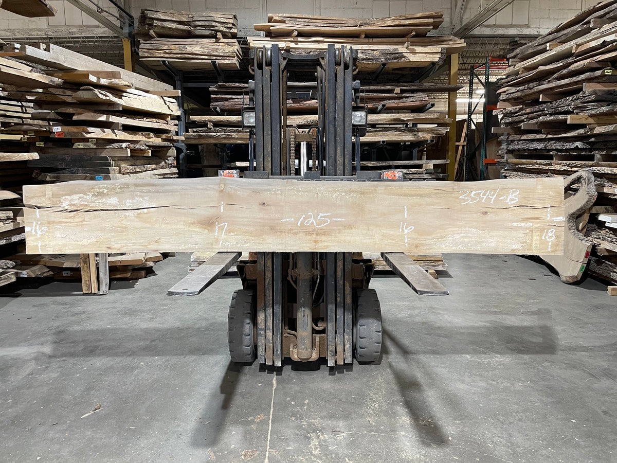 Sycamore (3544) 125” L x 16-17” W x 2.5” T